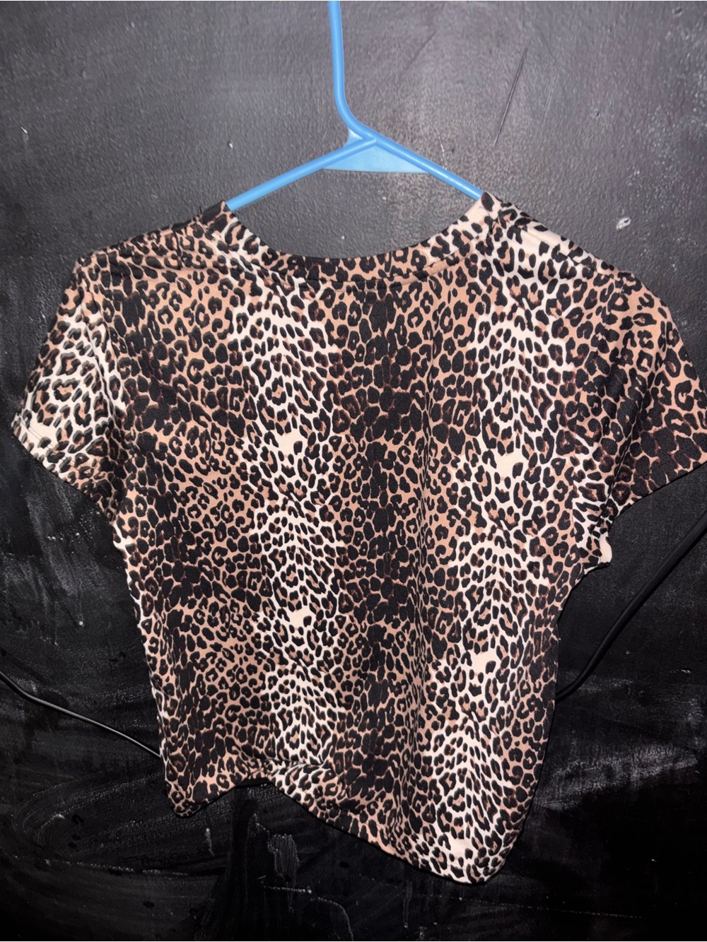 Splash Leopard Print Crop Top - Black & Brown